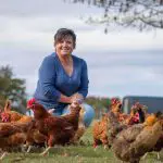 How To Start A Poultry Farm At Home