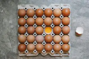 How Many Eggs Do Indio Gigante Chickens Lay